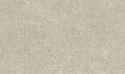 Линолеум Concrete 1