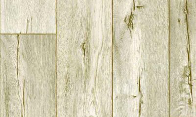 Cracked oak 1