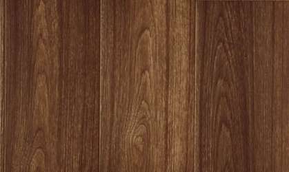 Astral Color 4266-454-5